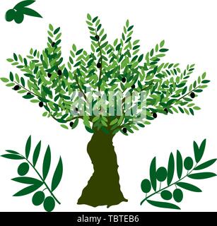 Vector illustration. Olive tree symbol, with detailed branch and fruits. Stock Vector