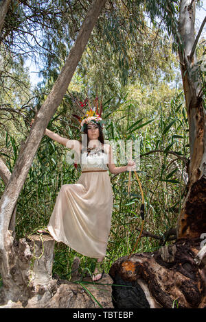 A girl model in dress Pocahontas with bow and arrow standing on the eucalyptus tree Stock Photo