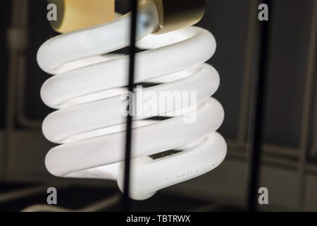 spiral light bulb closeup view Stock Photo