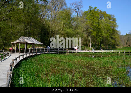 Westwood Lake, Wetland Conservation Area in Wakehurst Gardens, East Sussex, UK Stock Photo