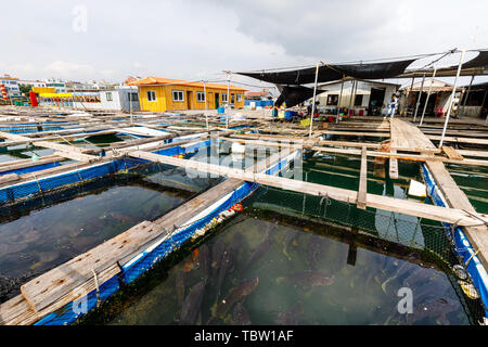 Monkey Island fishing rafts in South Bay, Hainan, China Stock Photo