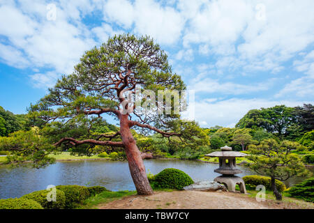 Shinjuku Gyoen National Garden in Tokyo Stock Photo