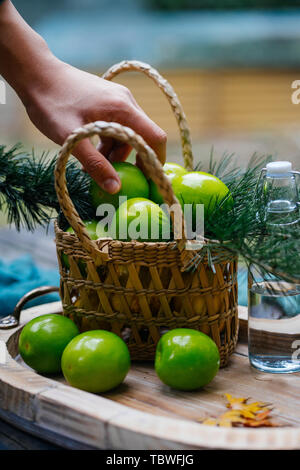 Big green winter jujube Stock Photo