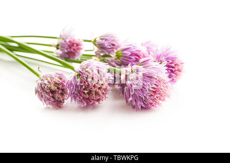 Chives with Flowers isolated on white background. Stock Photo