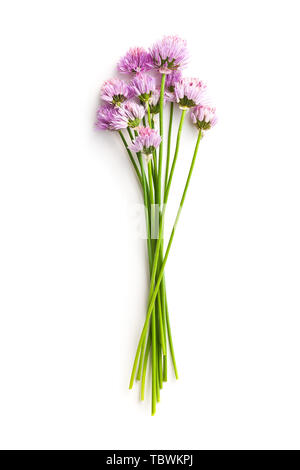 Chives with Flowers isolated on white background. Stock Photo