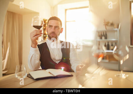 Portrait of professional sommelier looking at wine glass during tasting session in sunlight, copy space Stock Photo