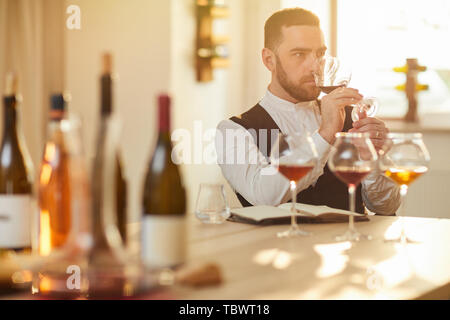 Portrait of professional sommelier tasting wine in sunlight, copy space Stock Photo