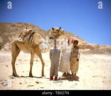 Three boys with a camel in the desert Stock Photo