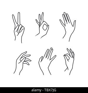 Woman's hand collection line. Vector Illustration of female hands of different gestures - victory, okay. Lineart in a trendy minimalist style. Logo design, hand cream, nail Studio, posters, cards. Stock Vector