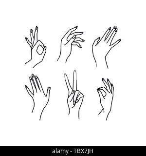 Woman's hand collection line. Vector Illustration of female hands of different gestures - victory, okay. Lineart in a trendy minimalist style. Logo design, hand cream, nail Studio, posters, cards. Stock Vector