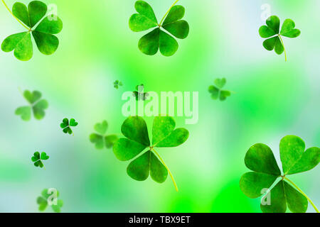 Emplate Design banner on St. Patrick's Day Stock Photo