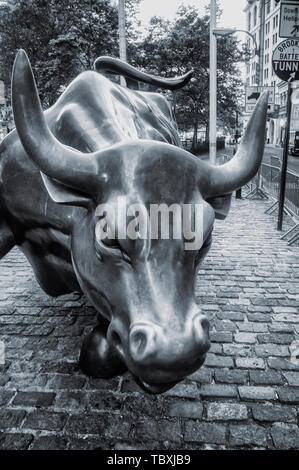 Wall Street bull sculpture , black & white , Manhattan, New York City Stock Photo