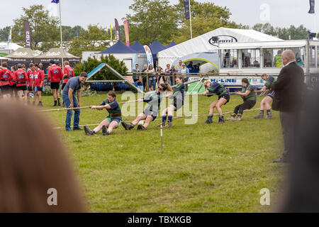 Tug of War competition at the Devon County Show Stock Photo