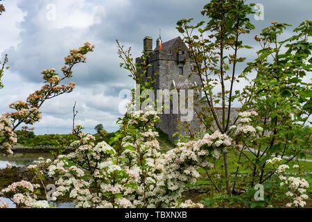 Ireland, Galway, May 2019: Dunguaire Castle, 16th-century tower house Stock Photo