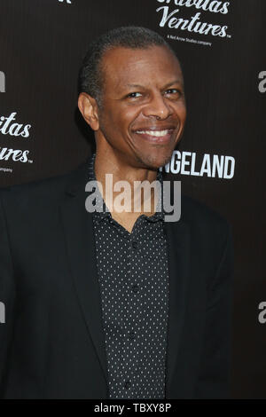 June 3, 2019 - Los Angeles, CA, USA - LOS ANGELES - JUN 3:  Phil LaMarr at the ''Changeland'' Los Angeles Premiere at the ArcLight Hollywood on June 3, 2019 in Los Angeles, CA (Credit Image: © Kay Blake/ZUMA Wire) Stock Photo