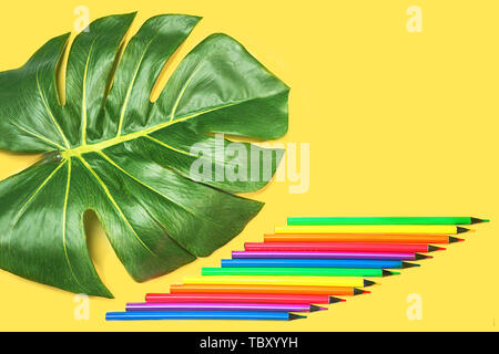 Back to school background with green monstera leaf, colorful neon pencils on pastel yellow backdrop. Stock Photo
