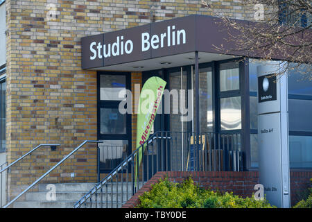 Studio Berlin, in the studio, eagle court, Treptow-Köpenick, Berlin, Germany, Am Studio, Adlershof, Deutschland Stock Photo