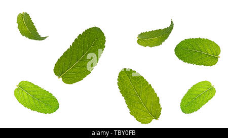 Fresh mint leaves pattern isolated on white background. Stock Photo