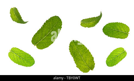Fresh mint leaves pattern isolated on white background. Stock Photo