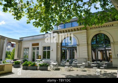 Beer Garden Brewing Inn Schankhalle Pepper Mountain Schonhauser