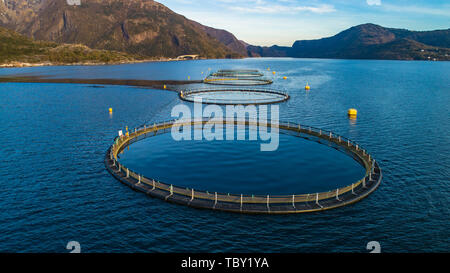Salmon fish farm. Hordaland, Norway. Stock Photo