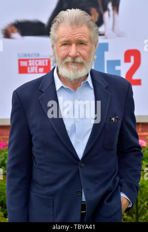 Los Angeles, USA. 02nd June, 2019. Harrison Ford at the premiere of the movie 'The Secret Life of Pets 2' at the Regency Village Theater. Los Angeles, 02.06.2019 | usage worldwide Credit: dpa/Alamy Live News Stock Photo
