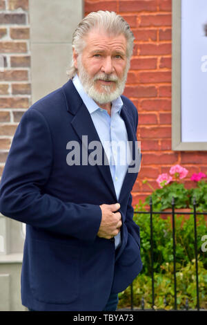 Harrison Ford at the premiere of the movie 'The Secret Life of Pets 2' at the Regency Village Theater. Los Angeles, 02.06.2019 | usage worldwide Stock Photo