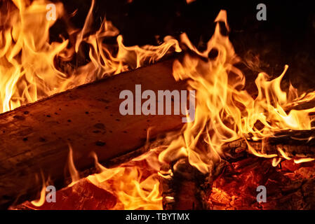 Big campfire with blazing flames Stock Photo