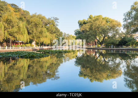 Autumn China Fushun early morning park pond willow rockery ancient architecture Stock Photo