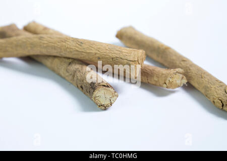 Closeup Astragalus of Traditional Chinese Medicine Stock Photo