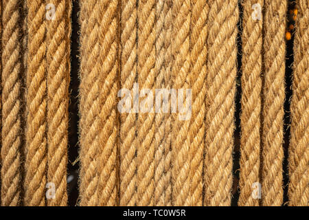 Vertical ropes, tether in row background. Brown twisted cord backdrop. closeup view Stock Photo