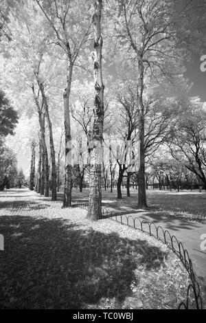 Infrared black and white, filming the altar of heaven Stock Photo - Alamy