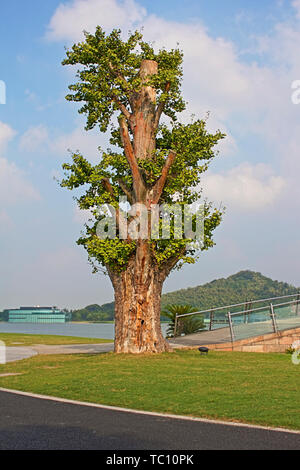 Scenery of Songjiang Moon Lake Sculpture Park in Shanghai Stock Photo