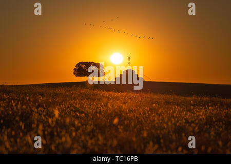 Inner Mongolia Prairie Sunrise And Sunset Aobao Meet Wild - 