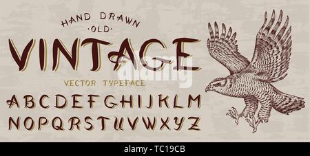 Calligraphic vintage font, Capital letters. Bird eagle, template for emblem and logo. Alphabet on retrobackground. Gothic Symbols types. Outlined Stock Vector