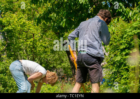 family od mother and her son work at the backyard of their spring cottage using tools Stock Photo