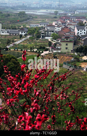 The place where peach blossoms bloom in Yangshan, Tonglu, Hangzhou Stock Photo