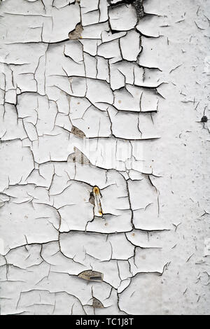 White painted cracked wood surface texture Stock Photo