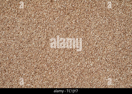 Light brown plaster surface texture Stock Photo