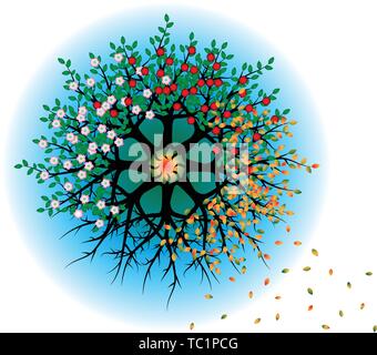 Circle of apple trees in four seasons Stock Vector
