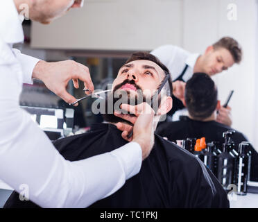 Young  pleasant  male hairdresser accurately cutting beard of client at hair salon Stock Photo