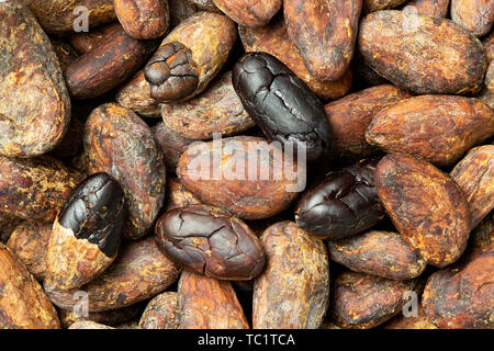 Background of roasted unpeeled and peeled cocoa beans. Stock Photo