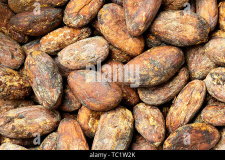 Background of roasted unpeeled cocoa beans. Stock Photo
