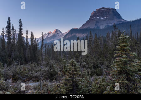 A stunning early morning view of majestic Cathedral Mountain near the Takakkaw Falls in Yoho National Park, against a bright blue sky, nobody in the i Stock Photo