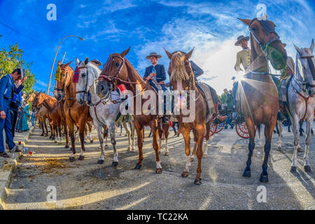 Horsemen, April fair, Seville, Spain. Stock Photo