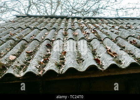 old roof of a wooden house. shingles covered in moss Stock Photo