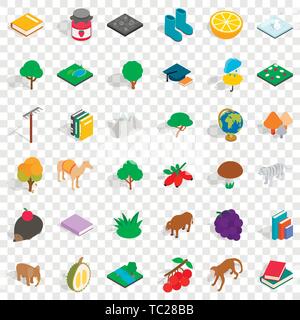 Camel icons set, isometric style Stock Vector