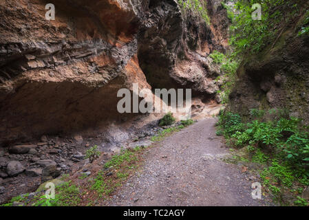 Natural landscape Badajoz canyon, Barranco de Badajoz in Tenerife, Spain . Stock Photo