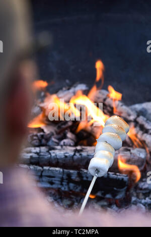 Man roasting white marshmallows on a metal skewer over the hot coals of a campfire in an over the shoulder focus on the candy Stock Photo