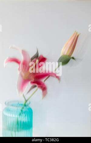 Lilies in blue vase on white background Stock Photo